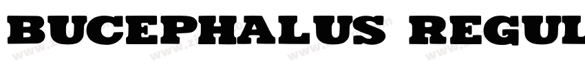 Bucephalus Regular字体转换